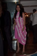 at Lavina Hansraj furnishing launch in Mumbai on 18th Dec 2011 (5).JPG